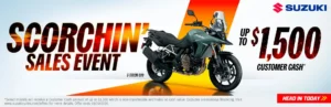 Read more about the article V-STROM 800