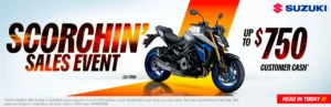Read more about the article GSX-S1000