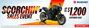 Read more about the article GSX-8TT